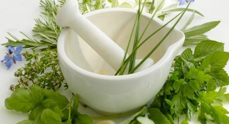 Мочегонные травы при гипертонии список разрешенных при