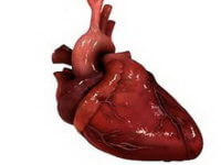 Сердечная гипертензия, что это такое: стадии и лечение