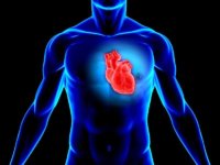 Атеросклеротическая болезнь сердца атеросклероз аорты: признаки и лечение