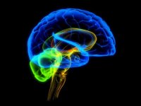 Сколько живут при атеросклерозе сосудов головного мозга thumbnail